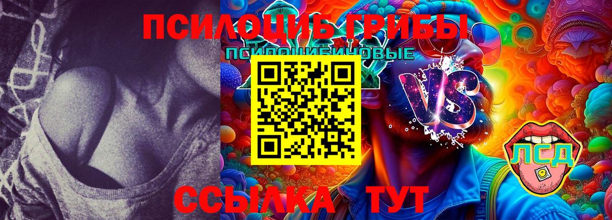 Псилоцибиновые грибы Psilocybine cubensis  Вход с VPN  Камышин  Псилоцибиновые грибы Psilocybe 